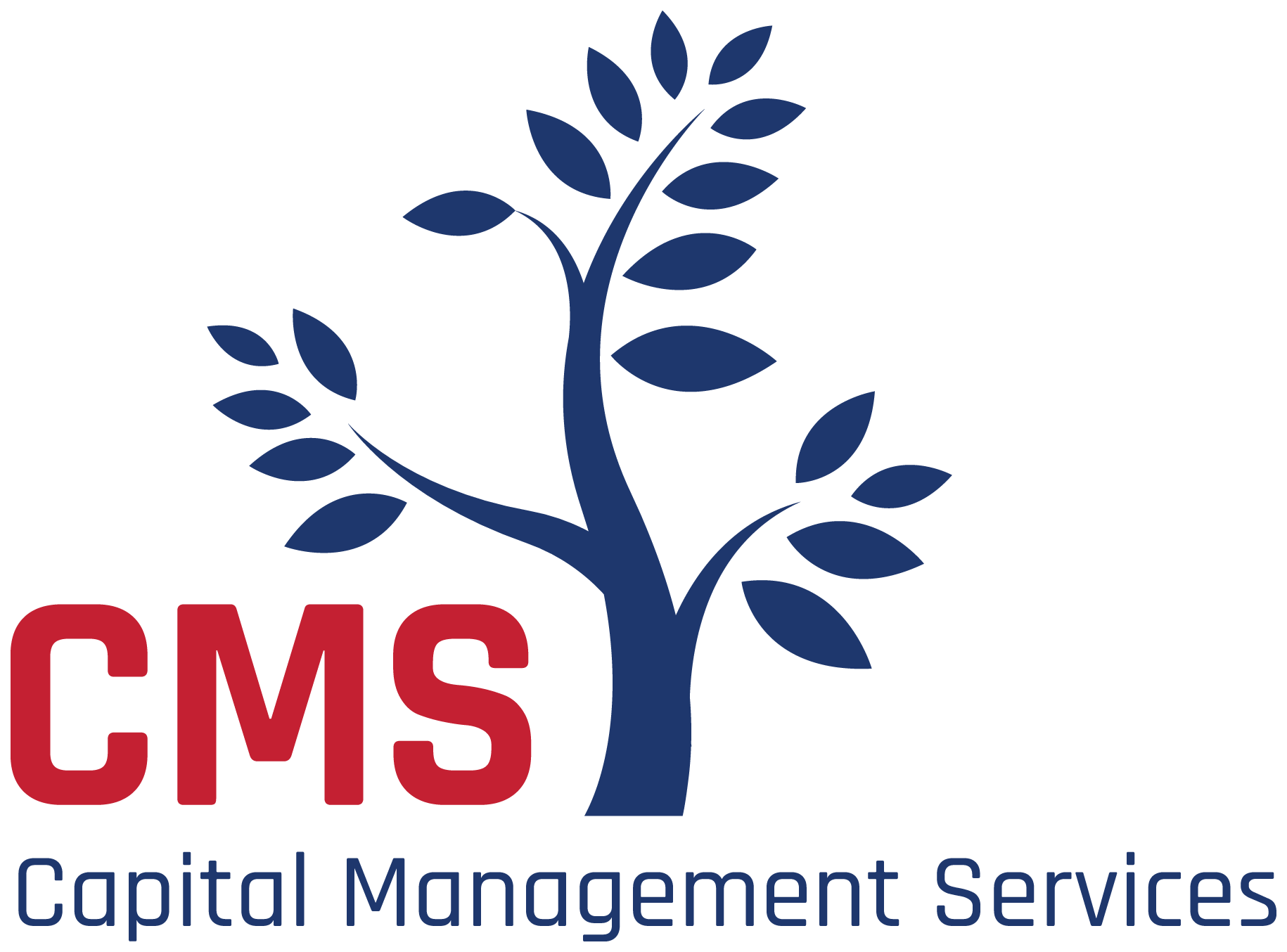 CMS Logo